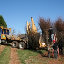 Tree Spades at Work – Big John Tree Move