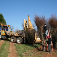 Tree Spades at Work – On the Road