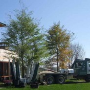 Tree Spades at Work – Moving a Tree from our Tree Nursery