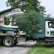 Trees on the Move at the State Arboretum of Virginia