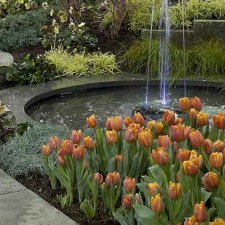 Join Us at Capital Home and Garden Show, February 24th – 26th