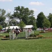 West Winds Nursery Landscape Design Featured at 2012 Upperville Colt and Horse Show