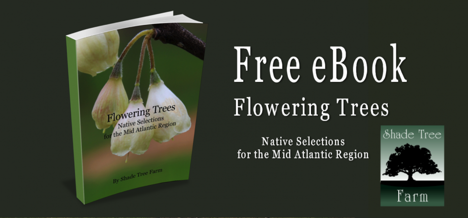 Free eBook – Flowering Trees Native Selections