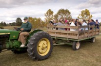 2014 Arborfest At Blandy Experimental Farm – October 11 & 12