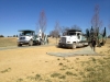 Three Spade Tree Trucks 2