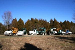 Shade Tree Farm Truck Mounted Tree Spades