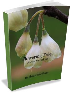 Flowering Tree eBook Cover