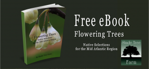 Flowering Trees Native Selections for the Mid Atlantic Region Slider